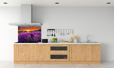 Dekorační panel sklo Pole levandule