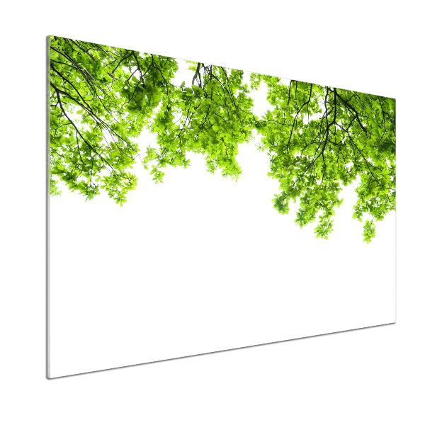 Dekorační panel sklo Listí dubu