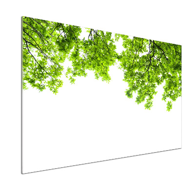Dekorační panel sklo Listí dubu