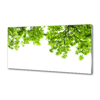 Dekorační panel sklo Listí dubu