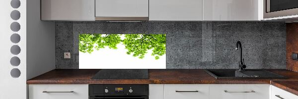 Dekorační panel sklo Listí dubu