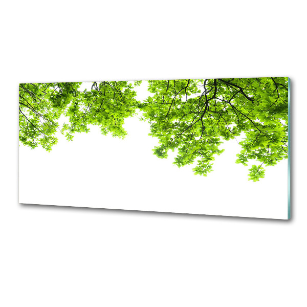 Dekorační panel sklo Listí dubu