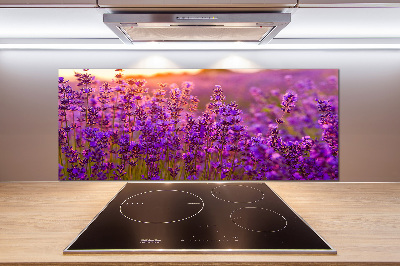 Dekorační panel sklo Pole levandule