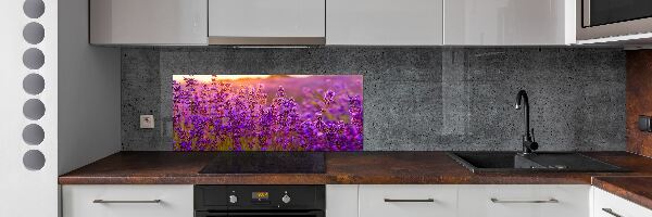 Dekorační panel sklo Pole levandule