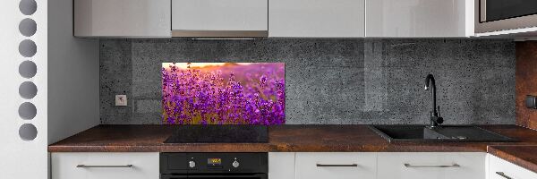 Dekorační panel sklo Pole levandule