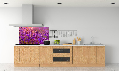 Dekorační panel sklo Pole levandule