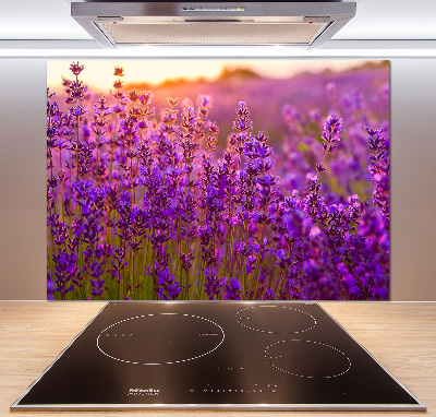 Dekorační panel sklo Pole levandule