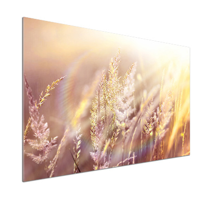 Dekorační panel sklo Vysoká tráva