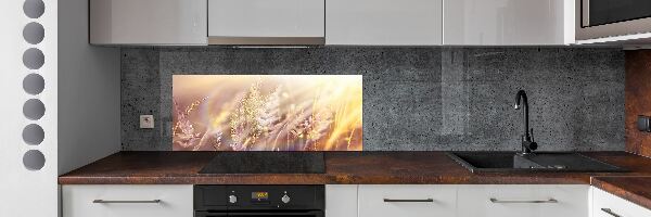 Dekorační panel sklo Vysoká tráva