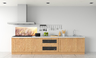 Dekorační panel sklo Vysoká tráva