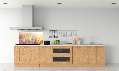 Dekorační panel sklo Vysoká tráva
