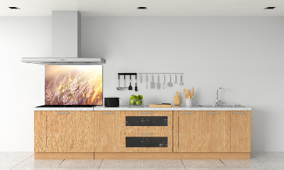 Dekorační panel sklo Vysoká tráva