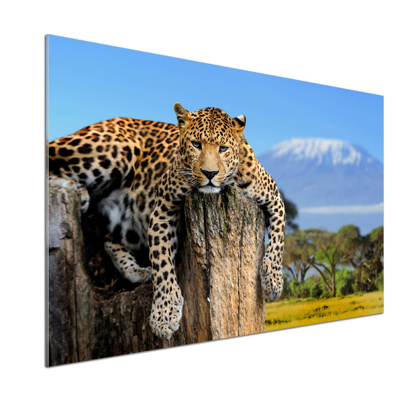 Panel do kuchyně Leopart na kmeni