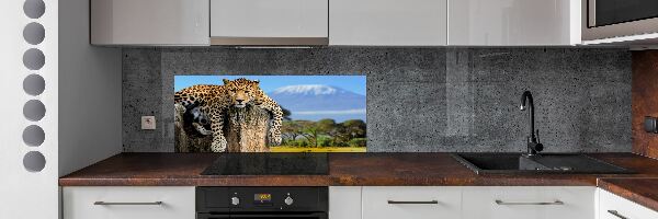 Panel do kuchyně Leopart na kmeni
