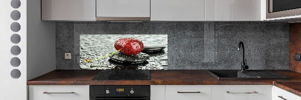 Panel lacobel Třešeň v dešti