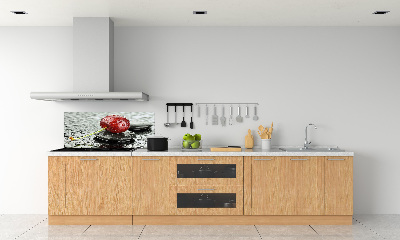 Panel lacobel Třešeň v dešti