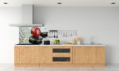 Panel lacobel Třešeň v dešti