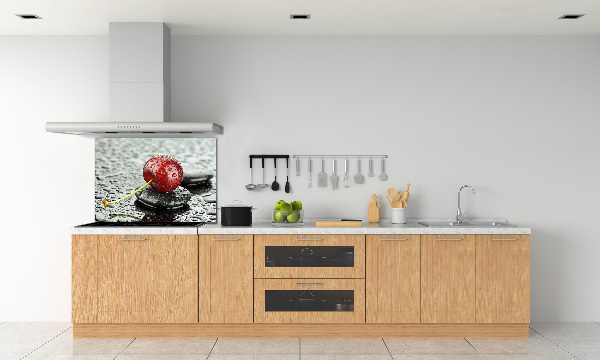 Panel lacobel Třešeň v dešti