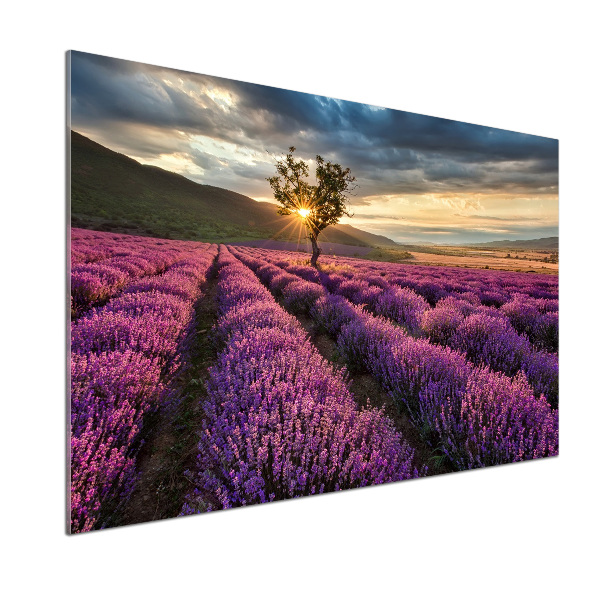 Dekorační panel sklo Pole levandule