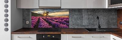 Dekorační panel sklo Pole levandule