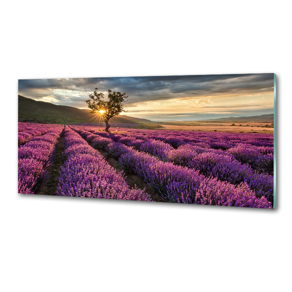 Dekorační panel sklo Pole levandule