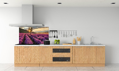 Dekorační panel sklo Pole levandule