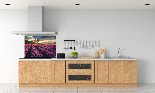 Dekorační panel sklo Pole levandule