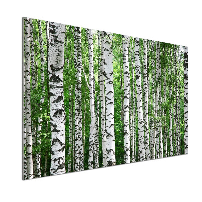 Skleněný panel do kuchyně Břízy