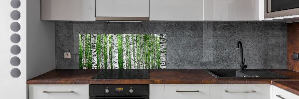 Skleněný panel do kuchyně Břízy