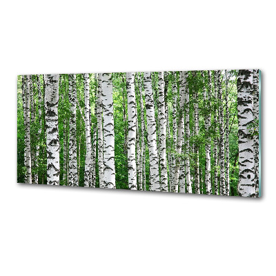 Skleněný panel do kuchyně Břízy