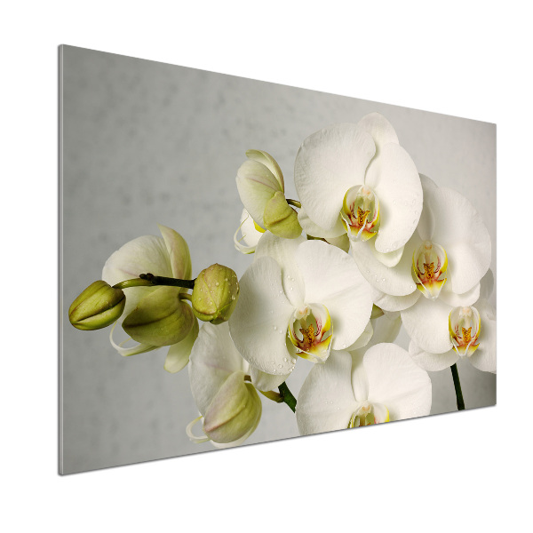 Panel do kuchyně Bílá orchidej