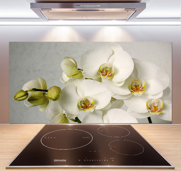 Panel do kuchyně Bílá orchidej