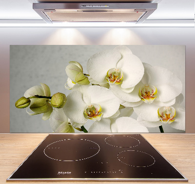 Panel do kuchyně Bílá orchidej