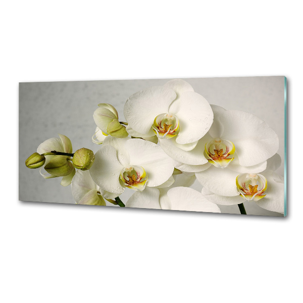 Panel do kuchyně Bílá orchidej