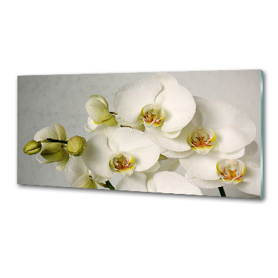 Panel do kuchyně Bílá orchidej
