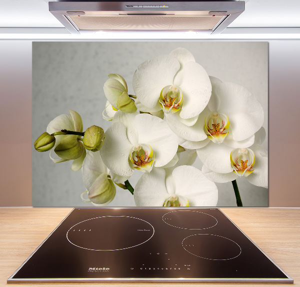 Panel do kuchyně Bílá orchidej