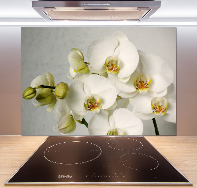 Panel do kuchyně Bílá orchidej