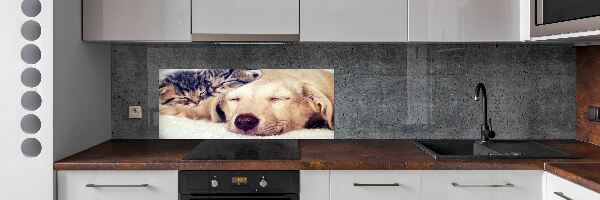 Panel do kuchyně Štěňata a kočky