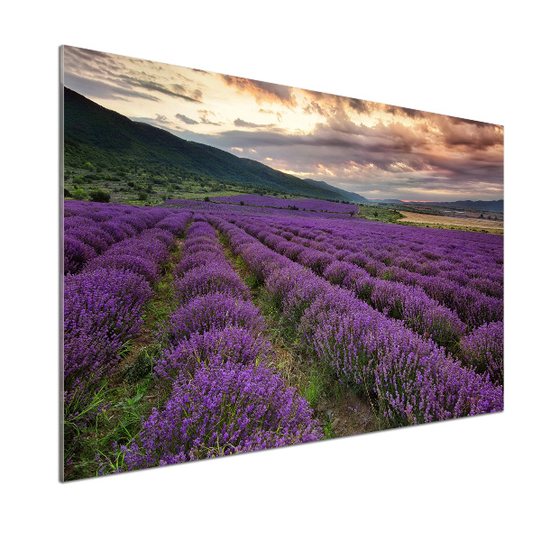 Dekorační panel sklo Pole levandule