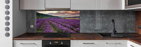 Dekorační panel sklo Pole levandule