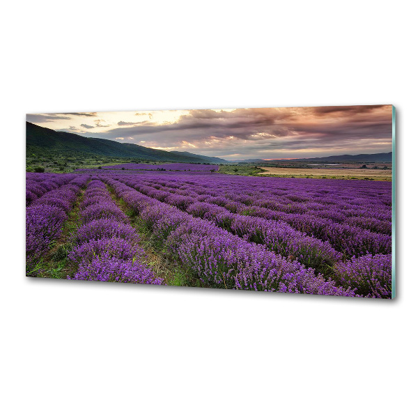 Dekorační panel sklo Pole levandule