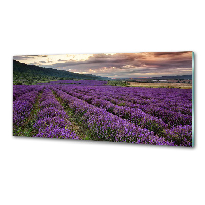Dekorační panel sklo Pole levandule
