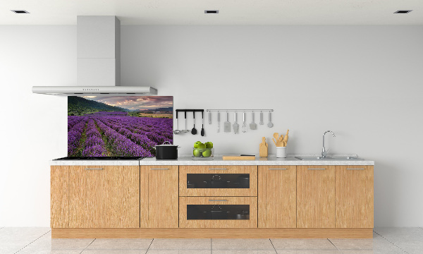 Dekorační panel sklo Pole levandule