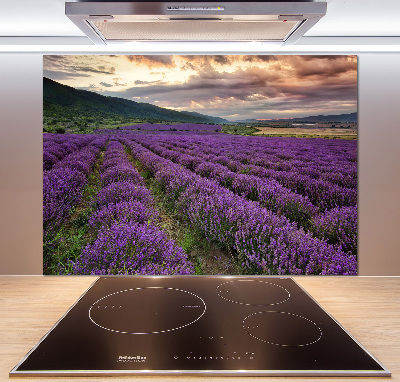 Dekorační panel sklo Pole levandule