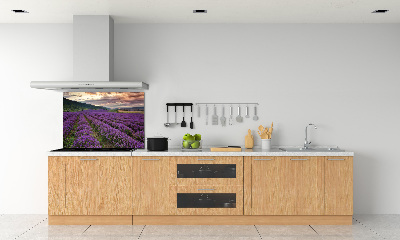 Dekorační panel sklo Pole levandule