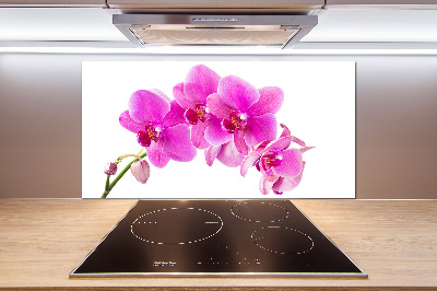 Panel do kuchyně Růžová orchidej