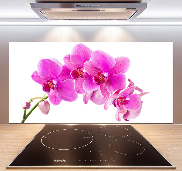 Panel do kuchyně Růžová orchidej