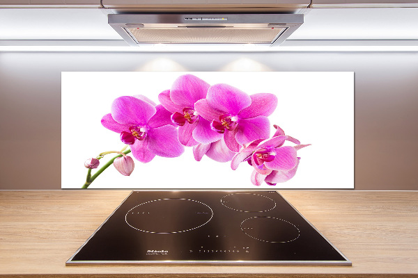 Panel do kuchyně Růžová orchidej