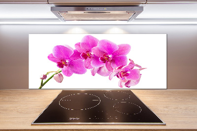 Panel do kuchyně Růžová orchidej