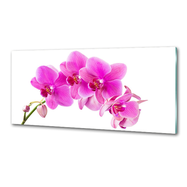 Panel do kuchyně Růžová orchidej